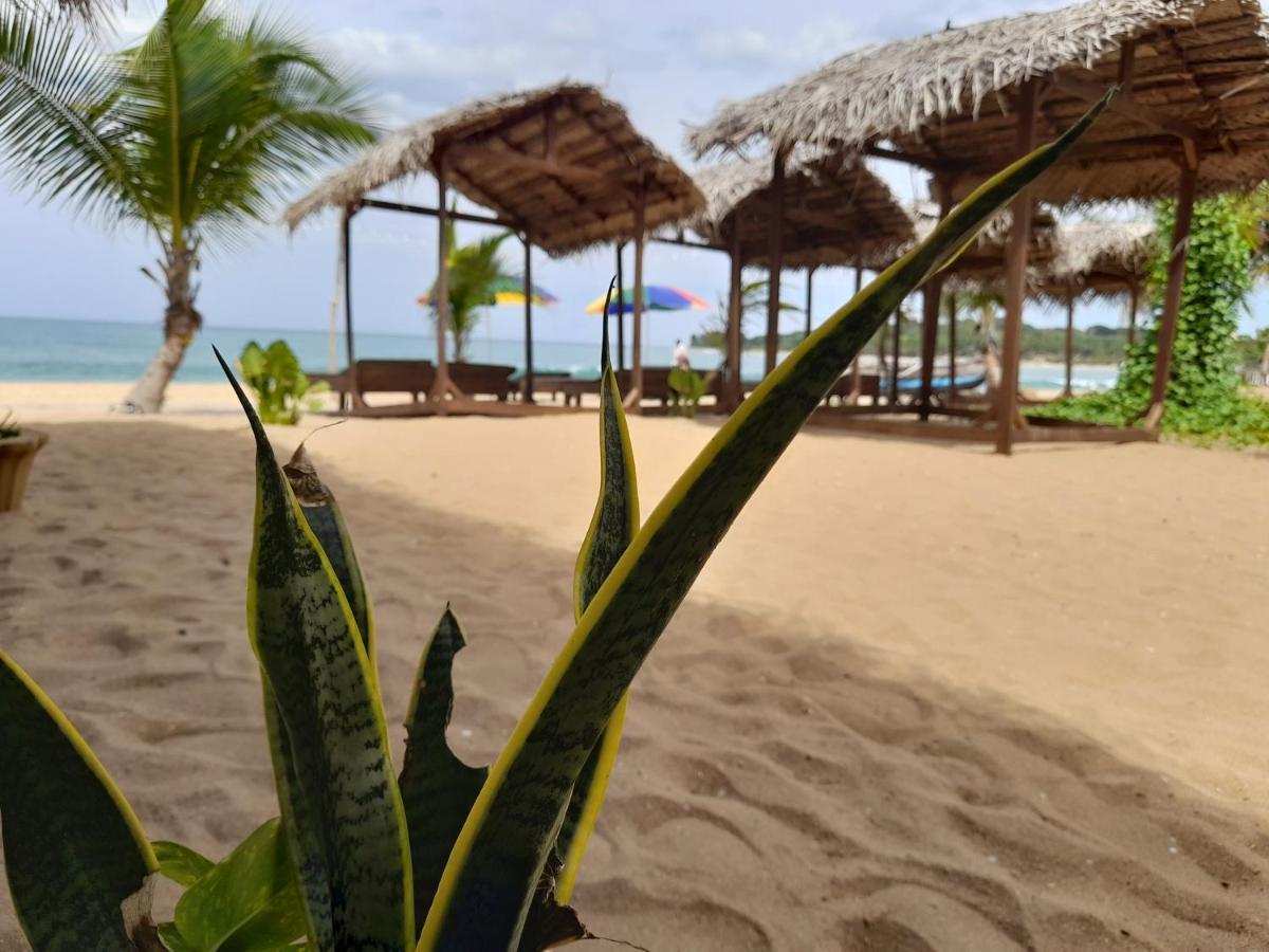 Golden Beach Chalets 아루감 베이 외부 사진